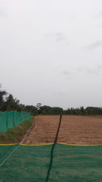 2 Acre Agricultural/Farm Land for Sale in Mathigiri, Hosur