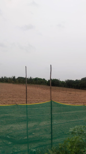 2 Acre Agricultural/Farm Land for Sale in Mathigiri, Hosur
