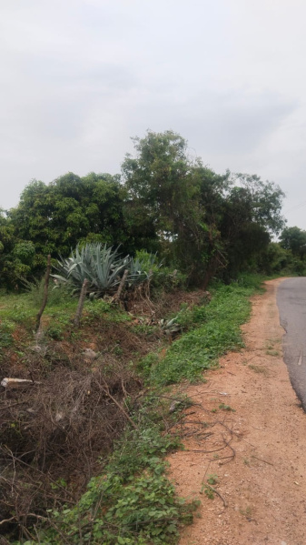  4 Acre Agricultural/Farm Land for Sale in Chennathur, Hosur