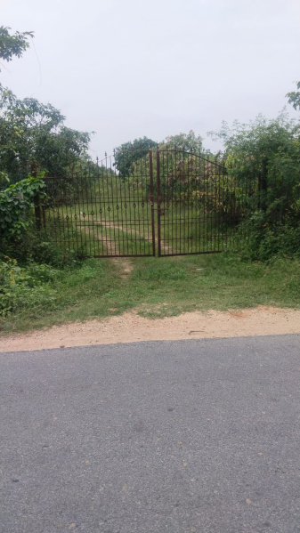  72 Acre Agricultural/Farm Land for Sale in Shoolagiri, Hosur