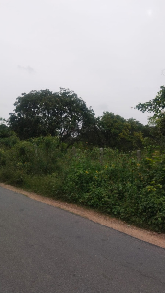  72 Acre Agricultural/Farm Land for Sale in Shoolagiri, Hosur