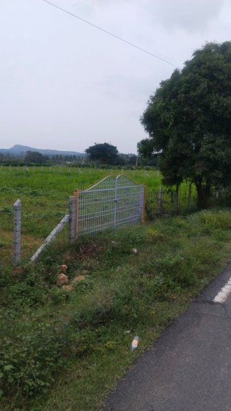  95 Cent Agricultural/Farm Land for Sale in Shoolagiri, Hosur