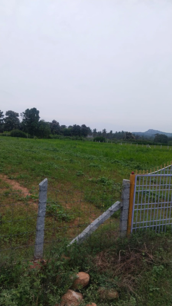  95 Cent Agricultural/Farm Land for Sale in Shoolagiri, Hosur