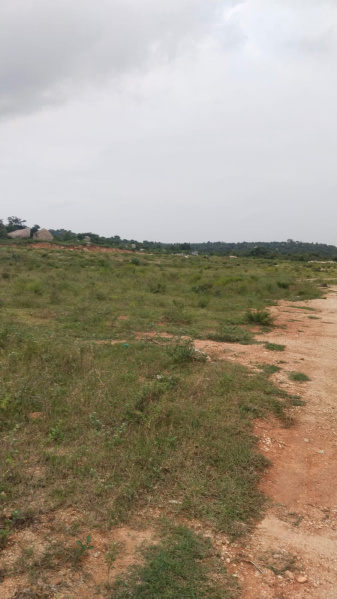  22 Acre Agricultural/Farm Land for Sale in Shoolagiri, Hosur