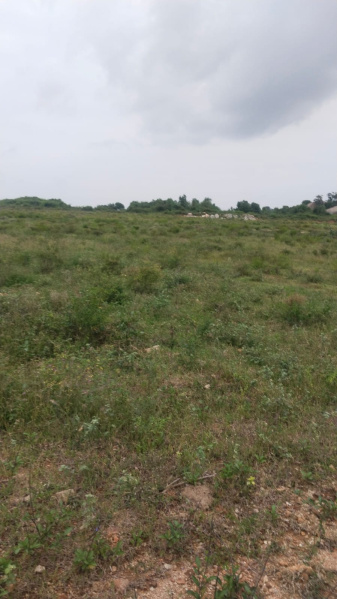  22 Acre Agricultural/Farm Land for Sale in Shoolagiri, Hosur