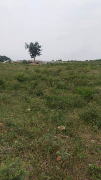  22 Acre Agricultural/Farm Land for Sale in Shoolagiri, Hosur