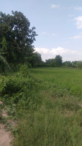  75 Cent Agricultural/Farm Land for Sale in Shoolagiri, Hosur