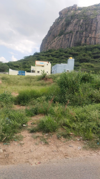  4356 Sq.ft. Agricultural/Farm Land for Sale in Shoolagiri, Hosur