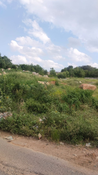  4356 Sq.ft. Agricultural/Farm Land for Sale in Shoolagiri, Hosur