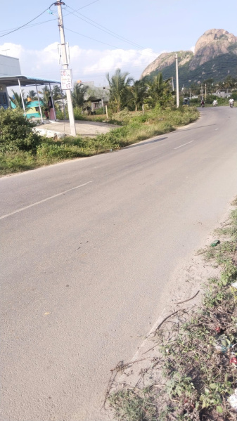  6098 Sq.ft. Agricultural/Farm Land for Sale in Shoolagiri, Hosur