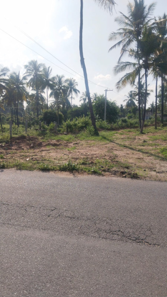  14 Cent Agricultural/Farm Land for Sale in Shoolagiri, Hosur