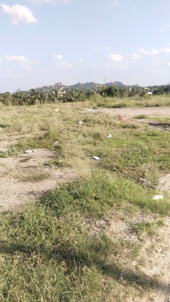  19 Cent Agricultural/Farm Land for Sale in Shoolagiri, Hosur