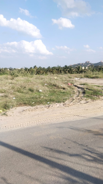  19 Cent Agricultural/Farm Land for Sale in Shoolagiri, Hosur