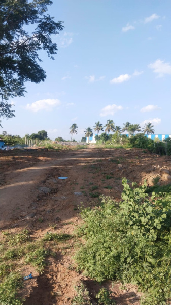 2 Acre Agricultural/Farm Land for Sale in Shoolagiri, Hosur