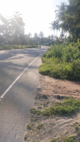  2 Acre Agricultural/Farm Land for Sale in Shoolagiri, Hosur
