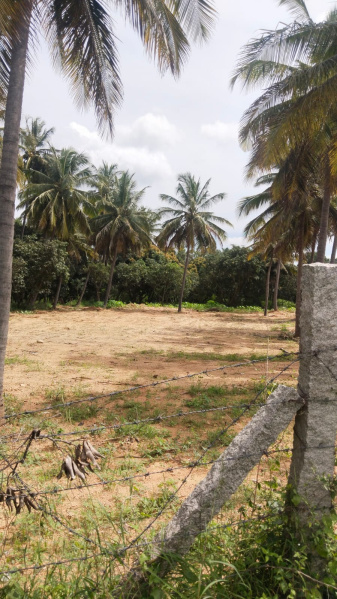  50 Cent Agricultural/Farm Land for Sale in Shoolagiri, Hosur
