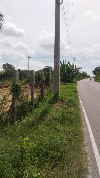  50 Cent Agricultural/Farm Land for Sale in Shoolagiri, Hosur