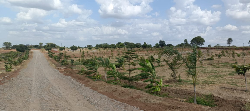  20 Acre Agricultural/Farm Land for Sale in Shoolagiri, Hosur