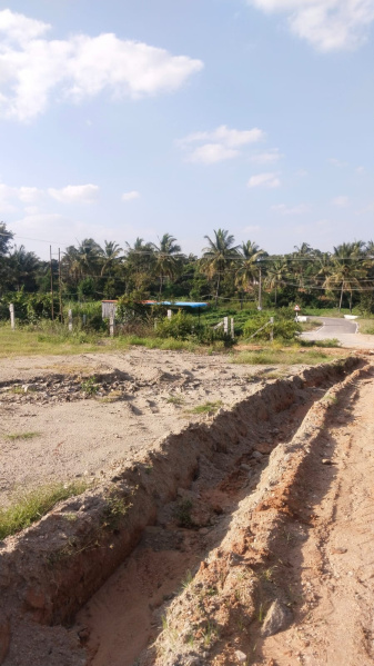  41 Cent Agricultural/Farm Land for Sale in Shoolagiri, Hosur