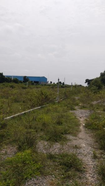  3 Acre Agricultural/Farm Land for Sale in Shoolagiri, Hosur