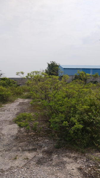  3 Acre Agricultural/Farm Land for Sale in Shoolagiri, Hosur