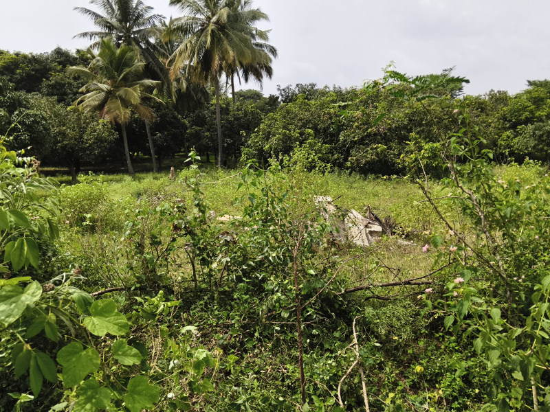  1 Acre Agricultural/Farm Land for Sale in Shoolagiri, Hosur