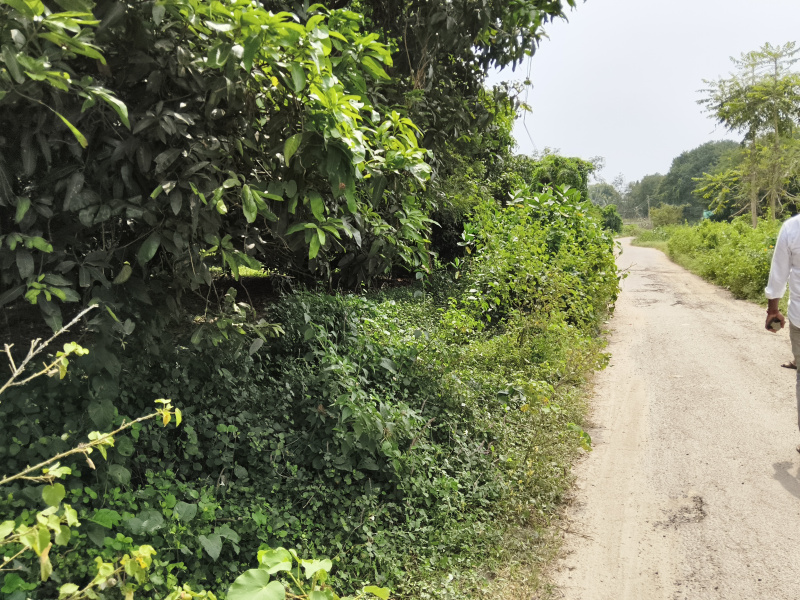  4 Acre Agricultural/Farm Land for Sale in Shoolagiri, Hosur