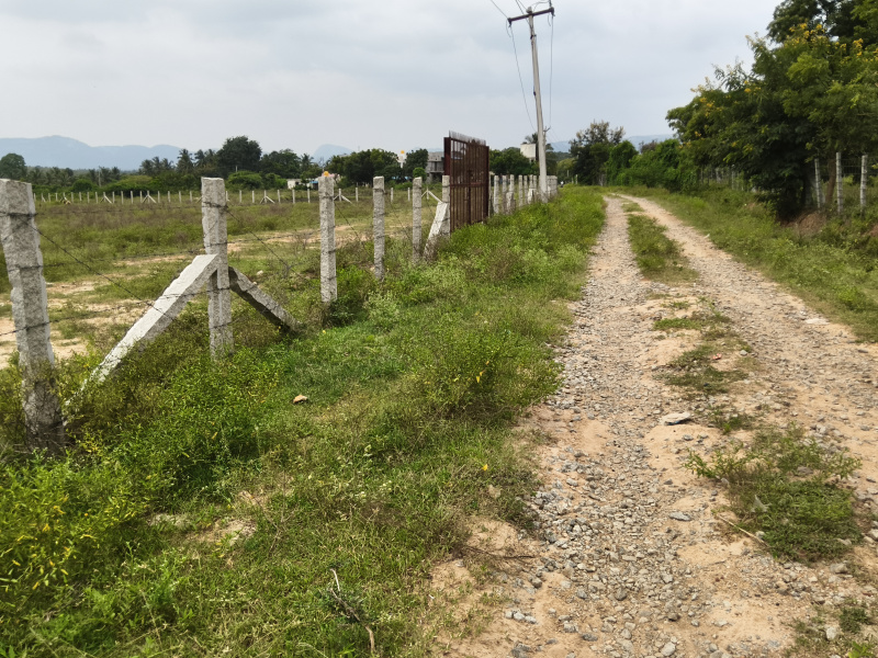  1 Acre Agricultural/Farm Land for Sale in Veppur, Hosur