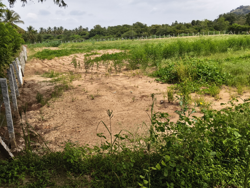  3 Acre Agricultural/Farm Land for Sale in Shoolagiri, Hosur