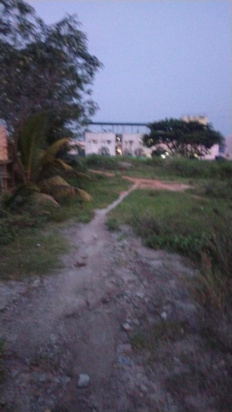  50 Cent Agricultural/Farm Land for Sale in Shoolagiri, Hosur