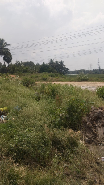  33 Cent Agricultural/Farm Land for Sale in Shoolagiri, Hosur