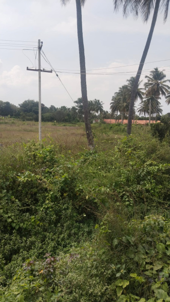  3 Acre Agricultural/Farm Land for Sale in Shoolagiri, Hosur