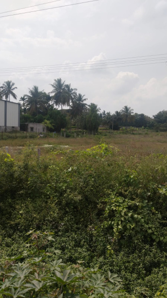  3 Acre Agricultural/Farm Land for Sale in Shoolagiri, Hosur