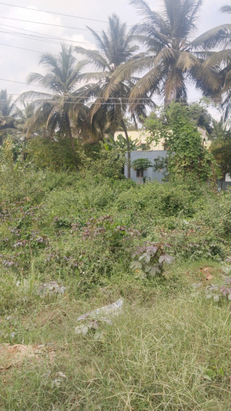  1 Acre Agricultural/Farm Land for Sale in Shoolagiri, Hosur