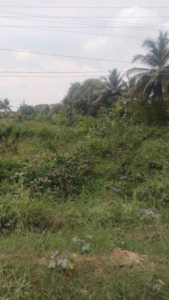  1 Acre Agricultural/Farm Land for Sale in Shoolagiri, Hosur