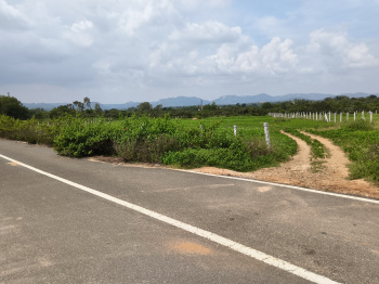  Agricultural Land for Sale in Shoolagiri, Hosur