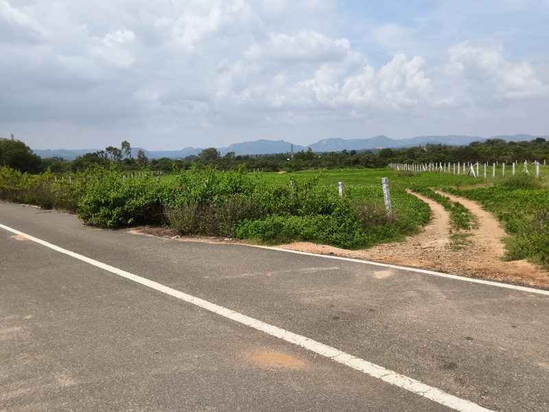  50 Acre Agricultural/Farm Land for Sale in Shoolagiri, Hosur