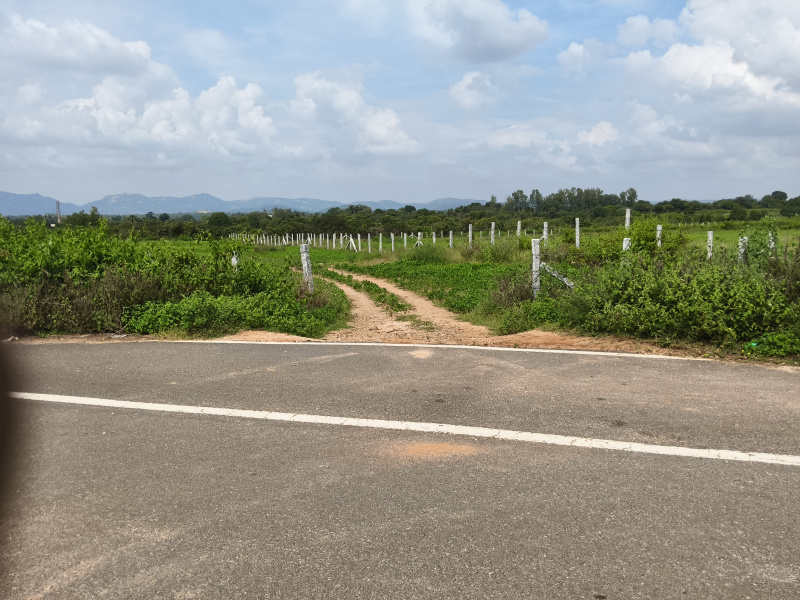  50 Acre Agricultural/Farm Land for Sale in Shoolagiri, Hosur