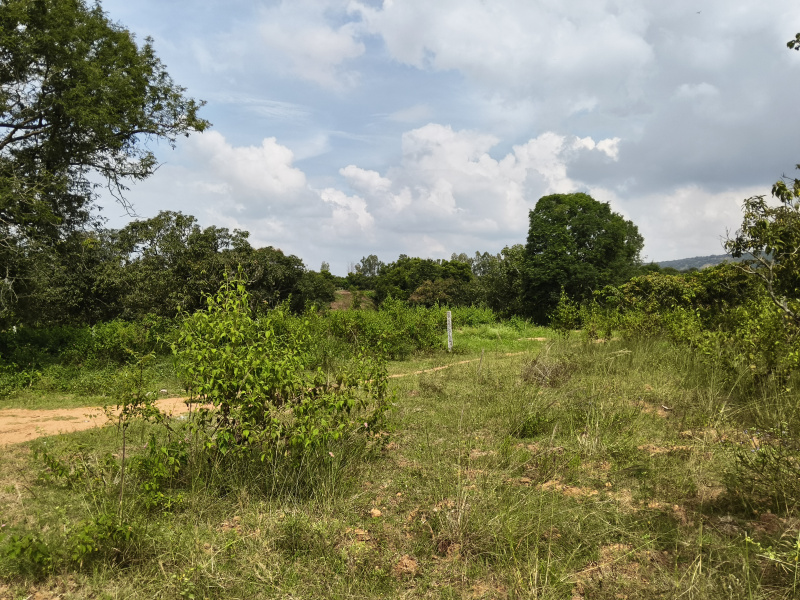  50 Acre Agricultural/Farm Land for Sale in Shoolagiri, Hosur