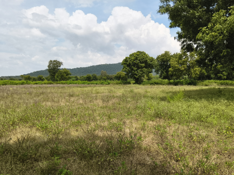  25 Acre Agricultural/Farm Land for Sale in Shoolagiri, Hosur