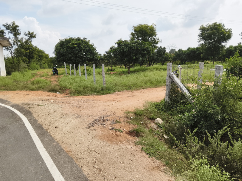  75 Acre Agricultural/Farm Land for Sale in Shoolagiri, Hosur