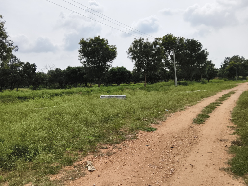  75 Acre Agricultural/Farm Land for Sale in Shoolagiri, Hosur