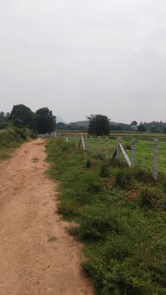  7 Acre Agricultural/Farm Land for Sale in Shoolagiri, Hosur