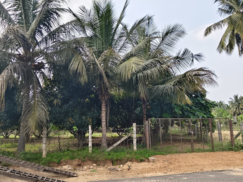  22 Acre Agricultural/Farm Land for Sale in Pochampalli, Krishnagiri