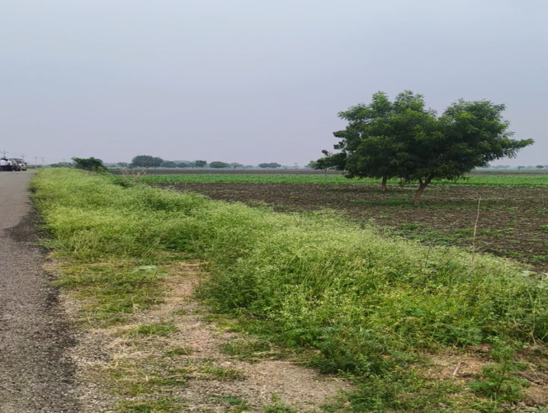  500 Acre Agricultural/Farm Land for Sale in Nagampatti, Thoothukudi