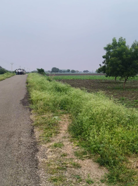  500 Acre Agricultural/Farm Land for Sale in Nagampatti, Thoothukudi