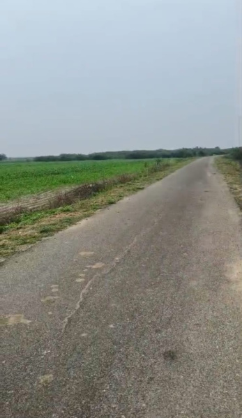  500 Acre Agricultural/Farm Land for Sale in Vilathikulam, Thoothukudi