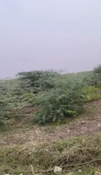  500 Acre Agricultural/Farm Land for Sale in Vilathikulam, Thoothukudi