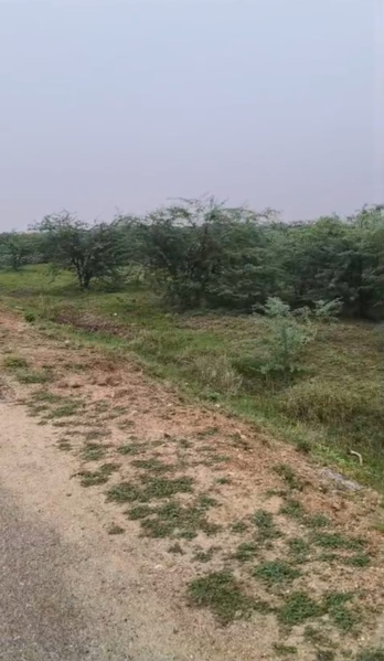  500 Acre Agricultural/Farm Land for Sale in Vilathikulam, Thoothukudi
