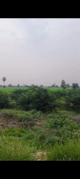  200 Sq.ft. Agricultural/Farm Land for Sale in Vilathikulam, Thoothukudi